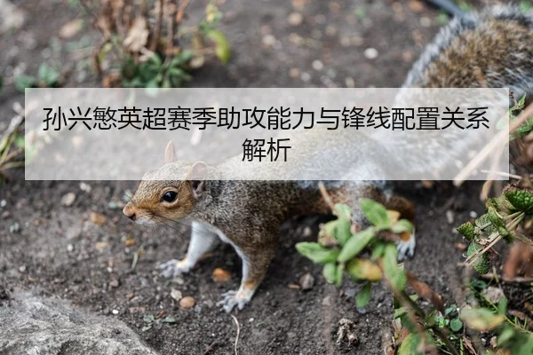 孙兴慜英超赛季助攻能力与锋线配置关系解析 - feisu